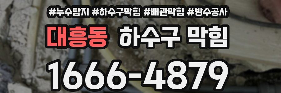 대흥동 하수구 막힘