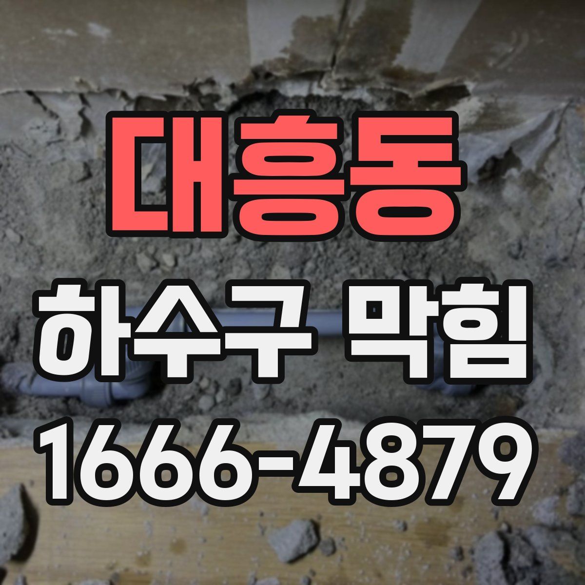 대흥동 하수구 막힘
