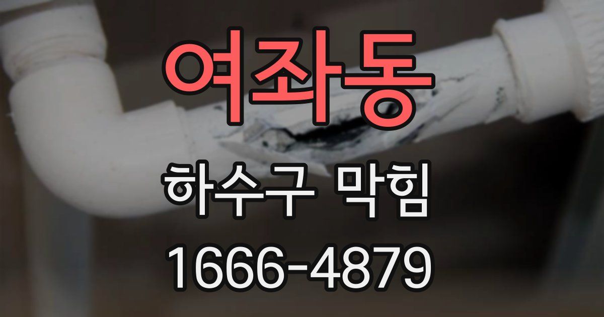 여좌동 하수구 막힘