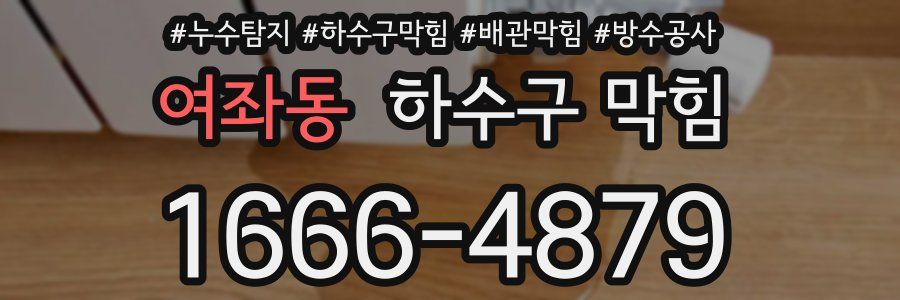 여좌동 하수구 막힘