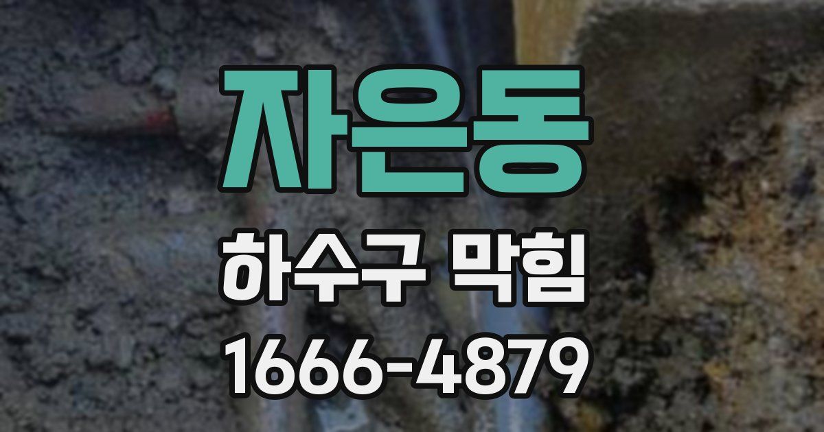 자은동 하수구 막힘