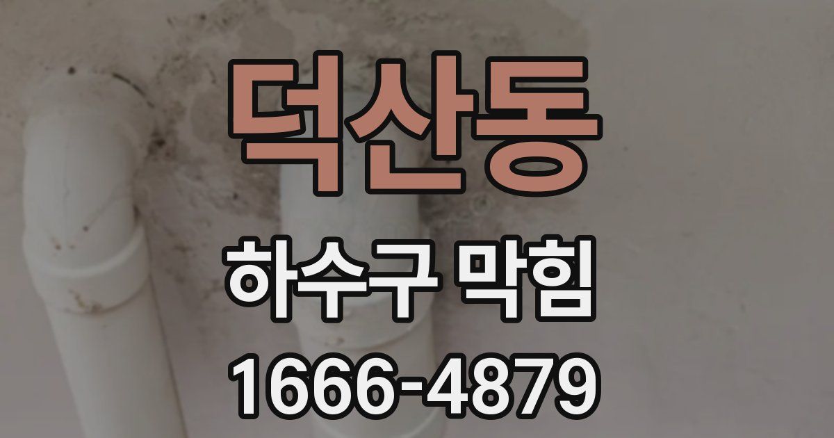 덕산동 하수구 막힘