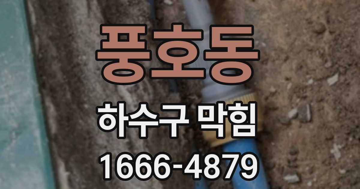 풍호동 하수구 막힘