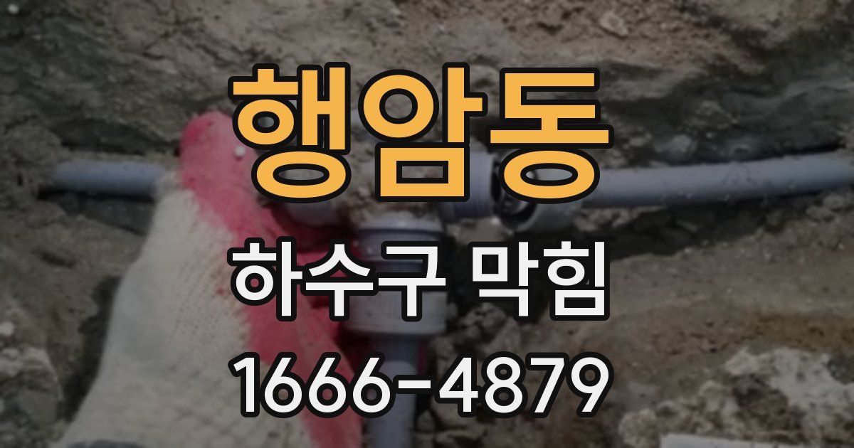 행암동 하수구 막힘