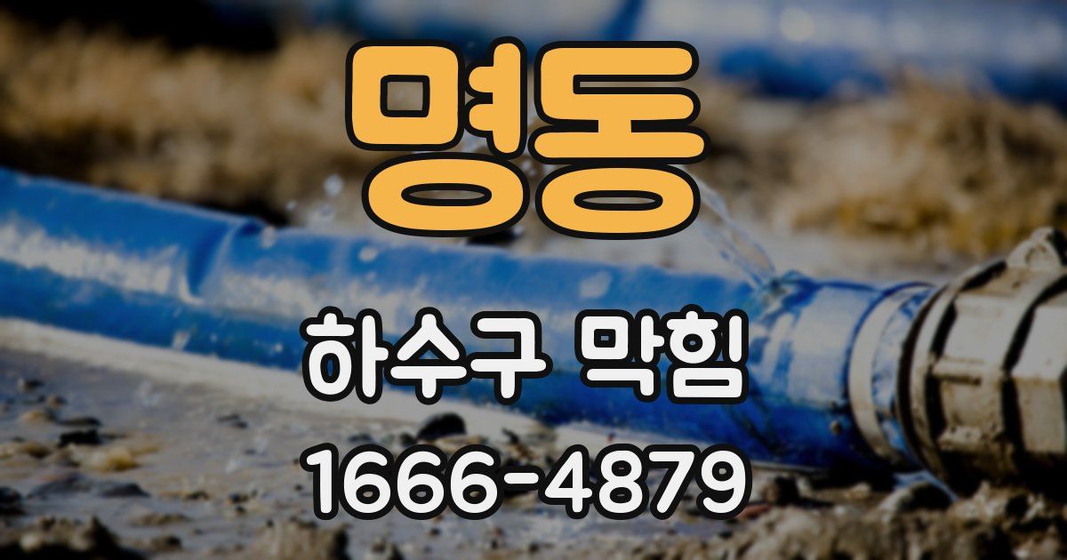 명동 하수구 막힘