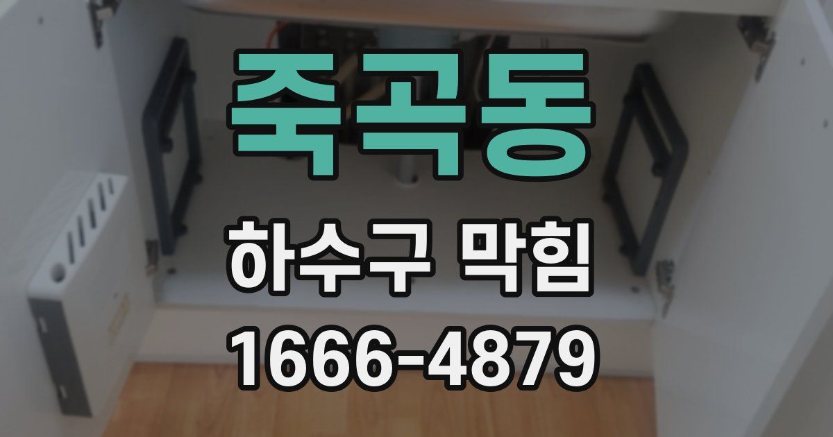 죽곡동 하수구 막힘