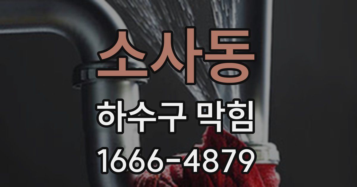 소사동 하수구 막힘