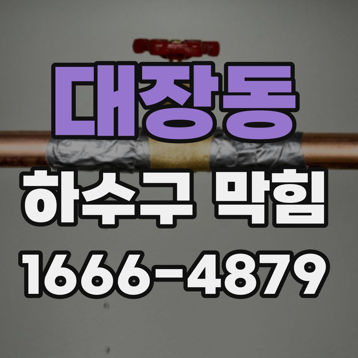 대장동 하수구 막힘