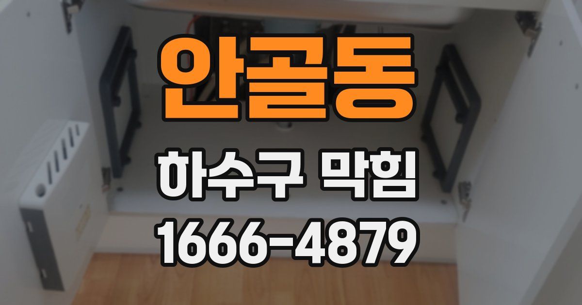 안골동 하수구 막힘