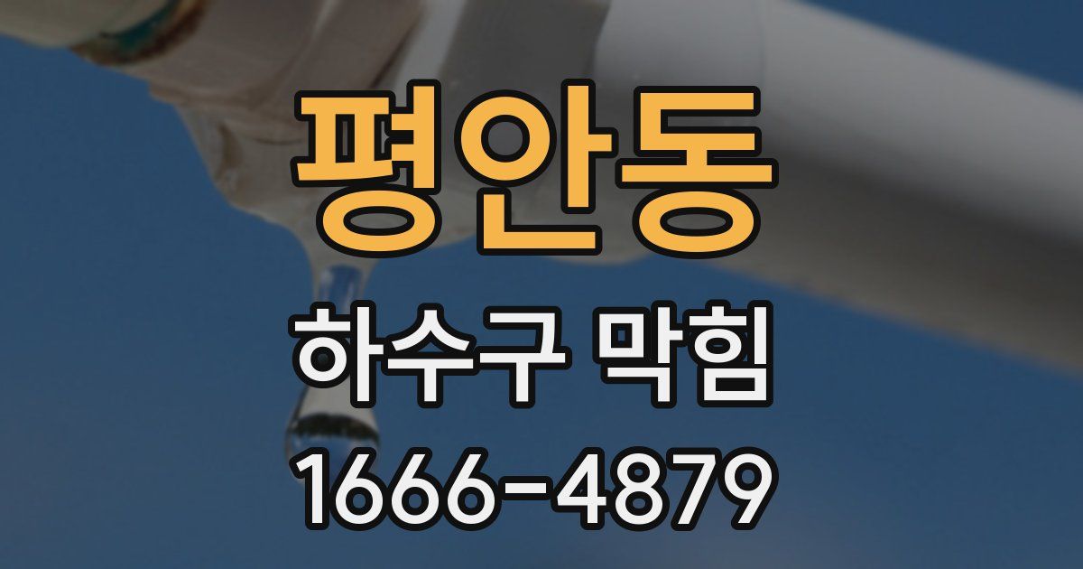 평안동 하수구 막힘