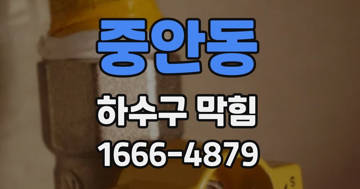 중안동 하수구 막힘
