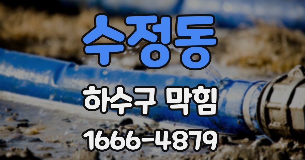 수정동 하수구 막힘