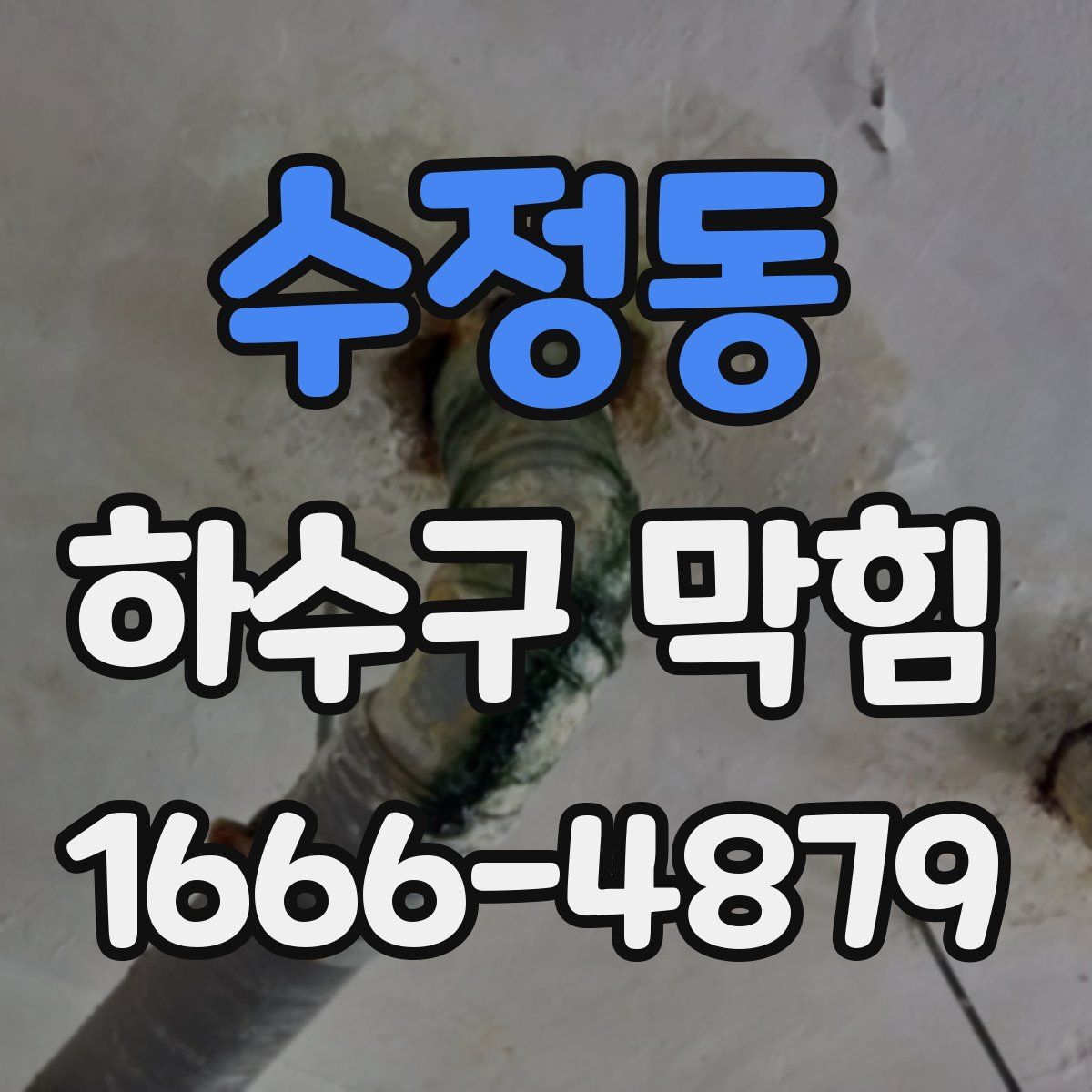 수정동 하수구 막힘