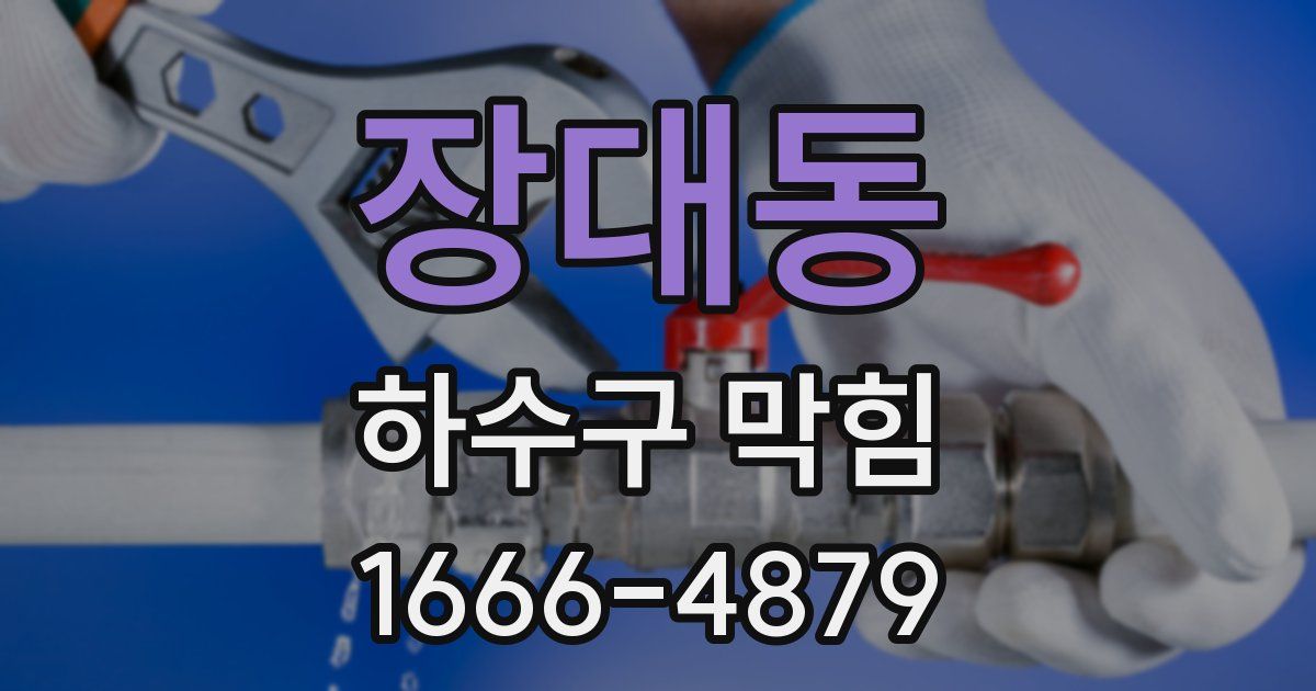 장대동 하수구 막힘