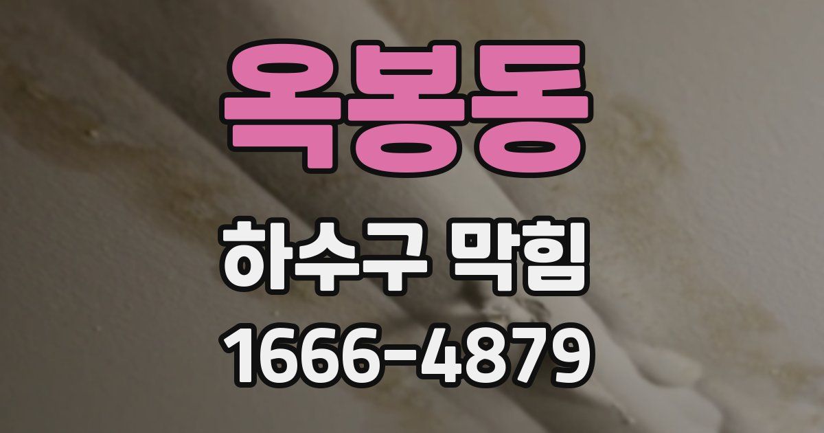 옥봉동 하수구 막힘