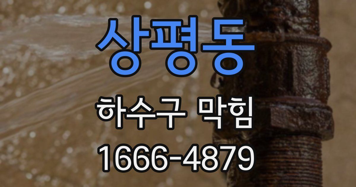 상평동 하수구 막힘