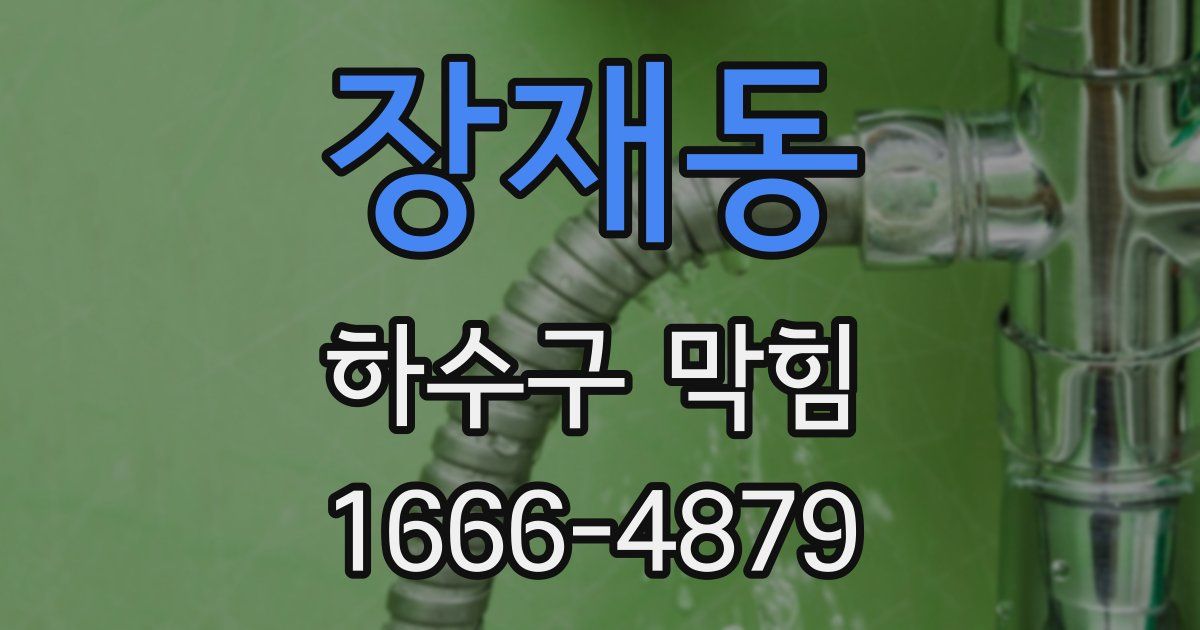 장재동 하수구 막힘