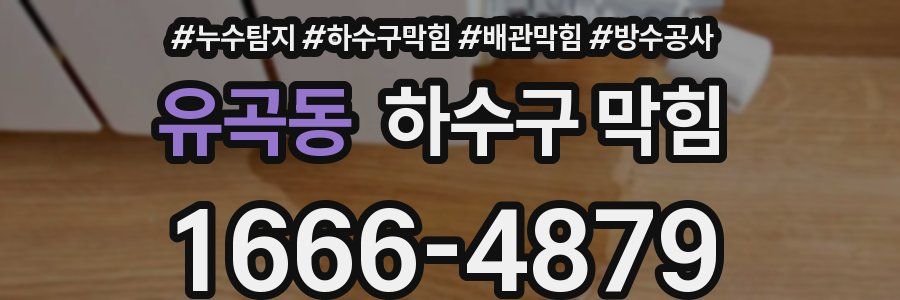 유곡동 하수구 막힘