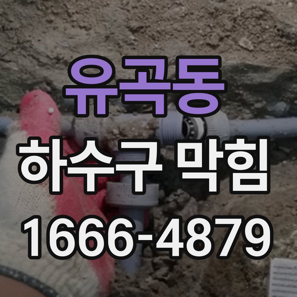 유곡동 하수구 막힘
