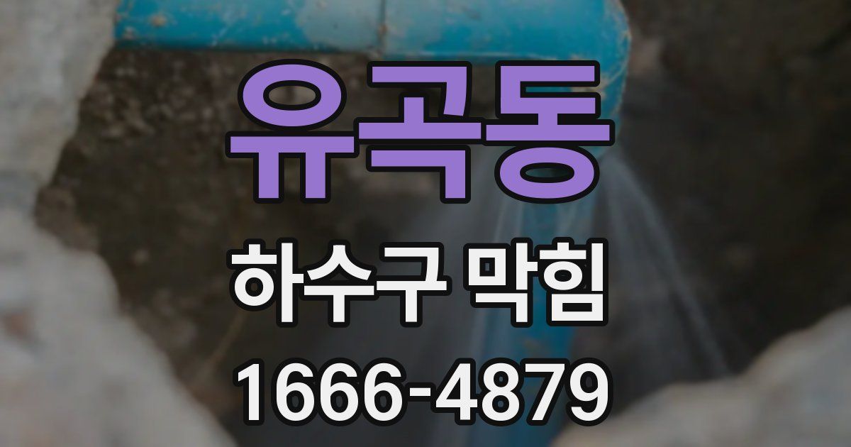 유곡동 하수구 막힘