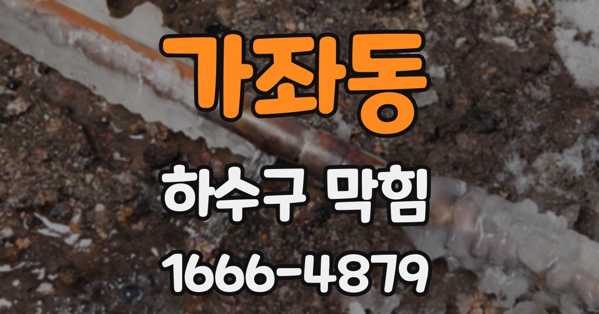 가좌동 하수구 막힘