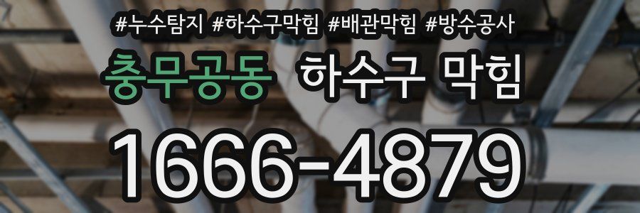 충무공동 하수구 막힘