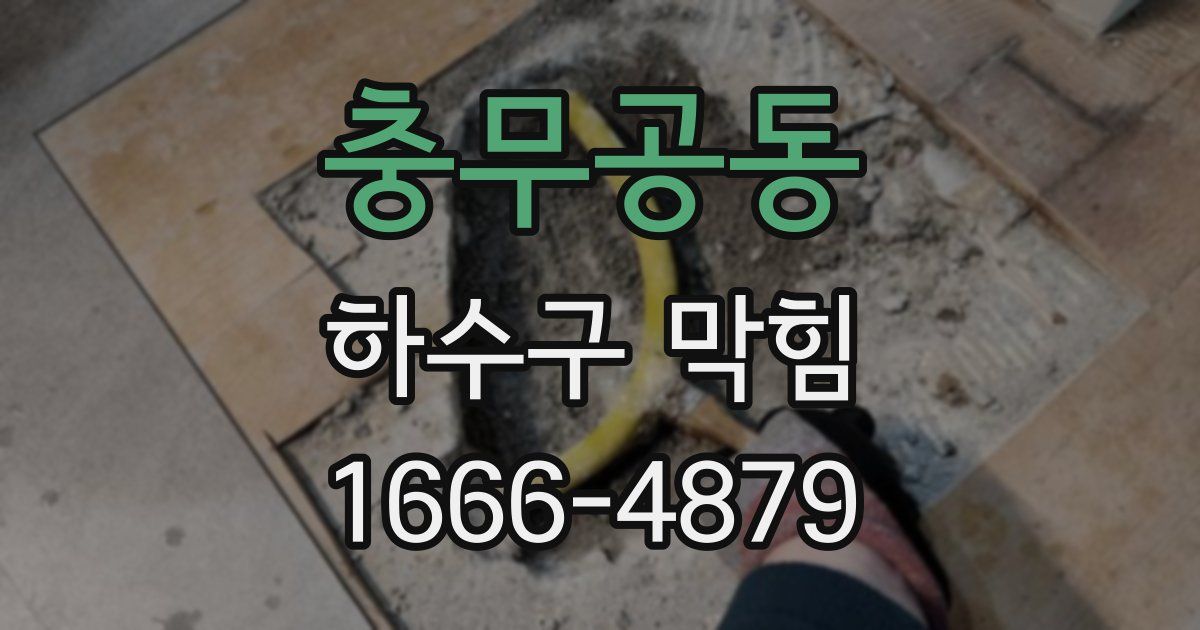 충무공동 하수구 막힘
