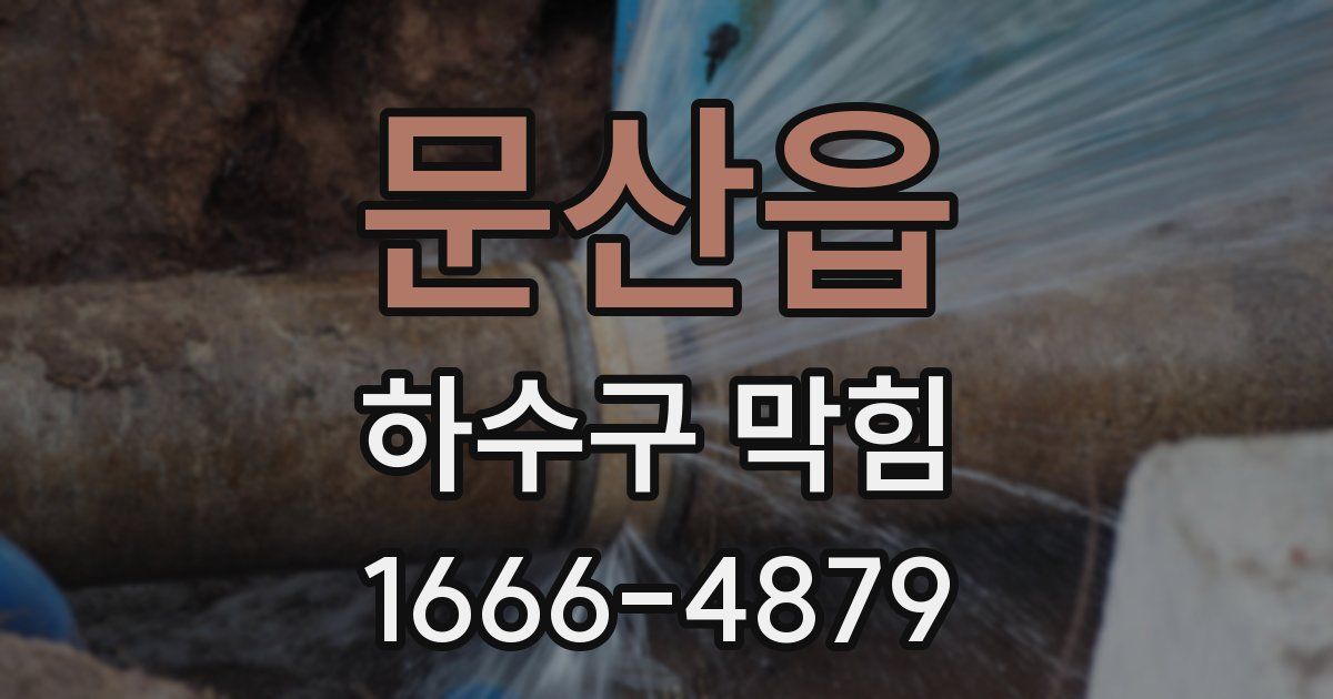문산읍 하수구 막힘