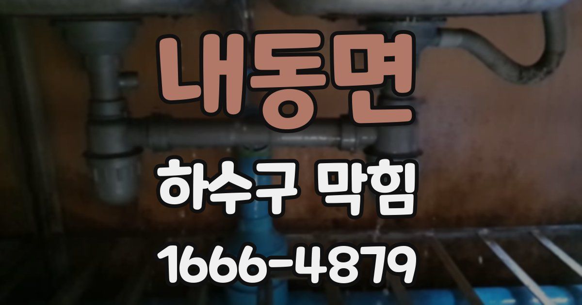 내동면 하수구 막힘