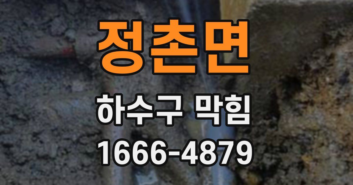 정촌면 하수구 막힘