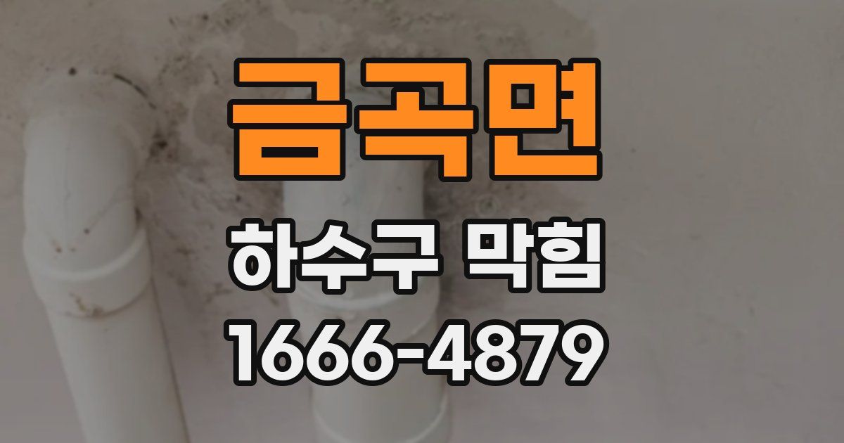 금곡면 하수구 막힘