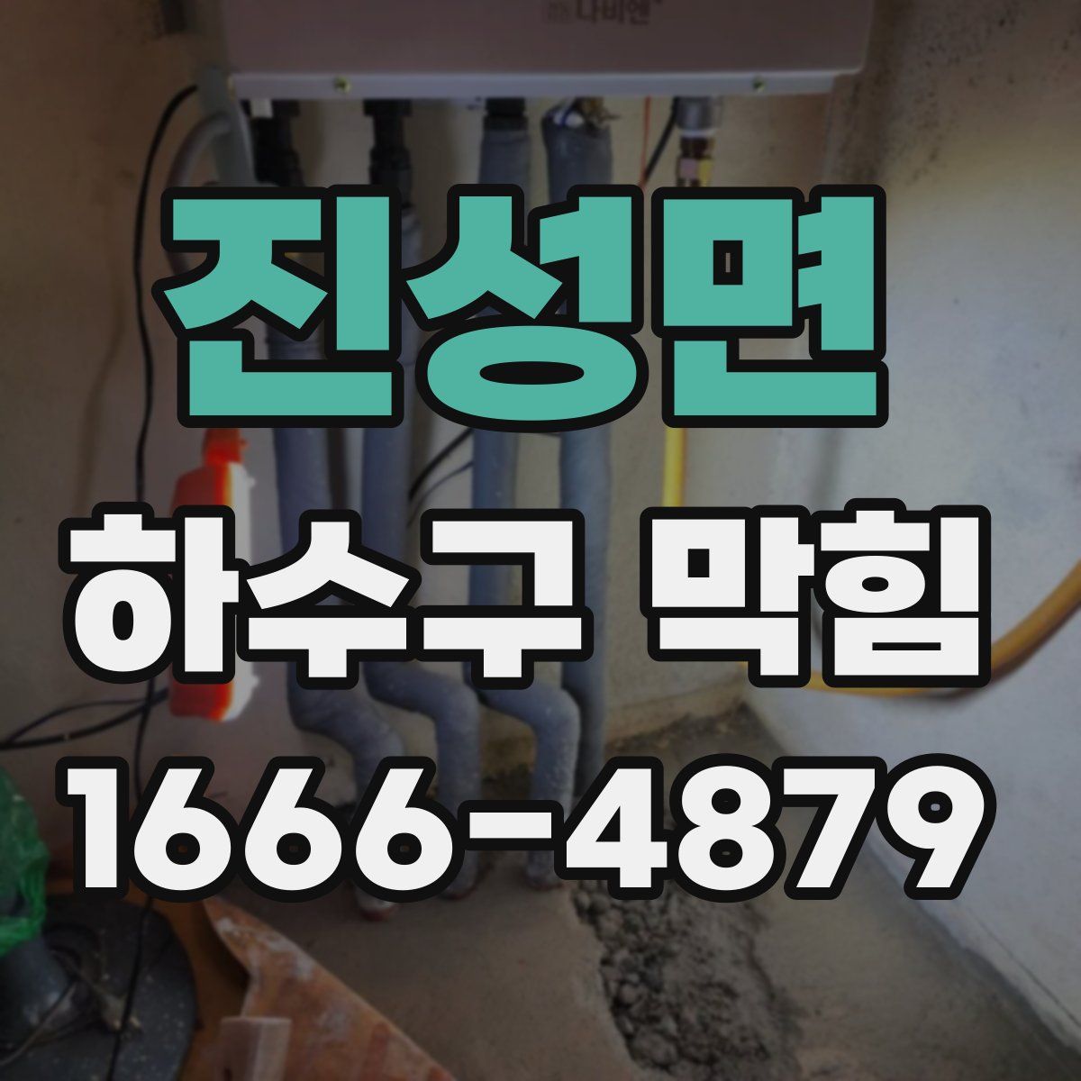 진성면 하수구 막힘