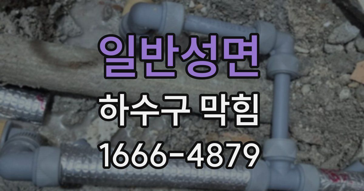 일반성면 하수구 막힘