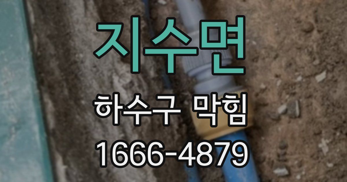 지수면 하수구 막힘