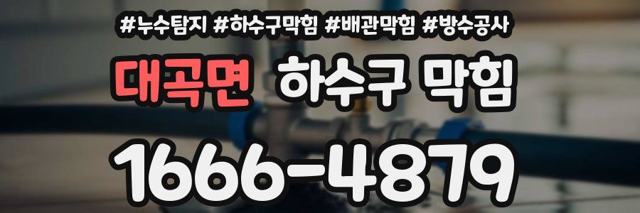 대곡면 하수구 막힘
