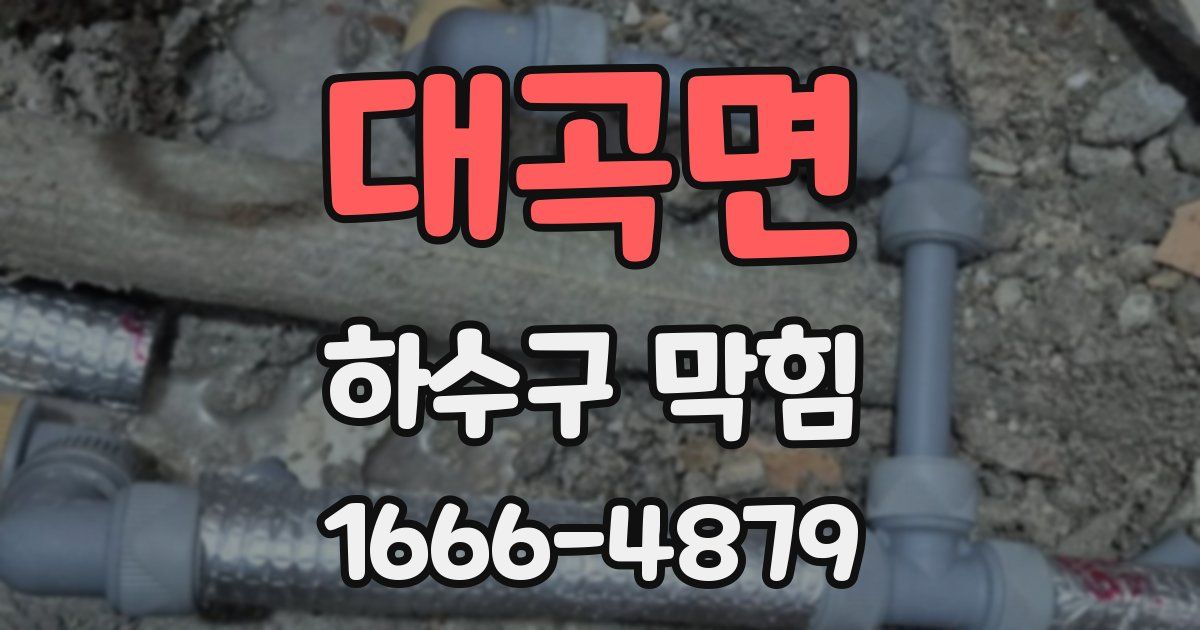 대곡면 하수구 막힘