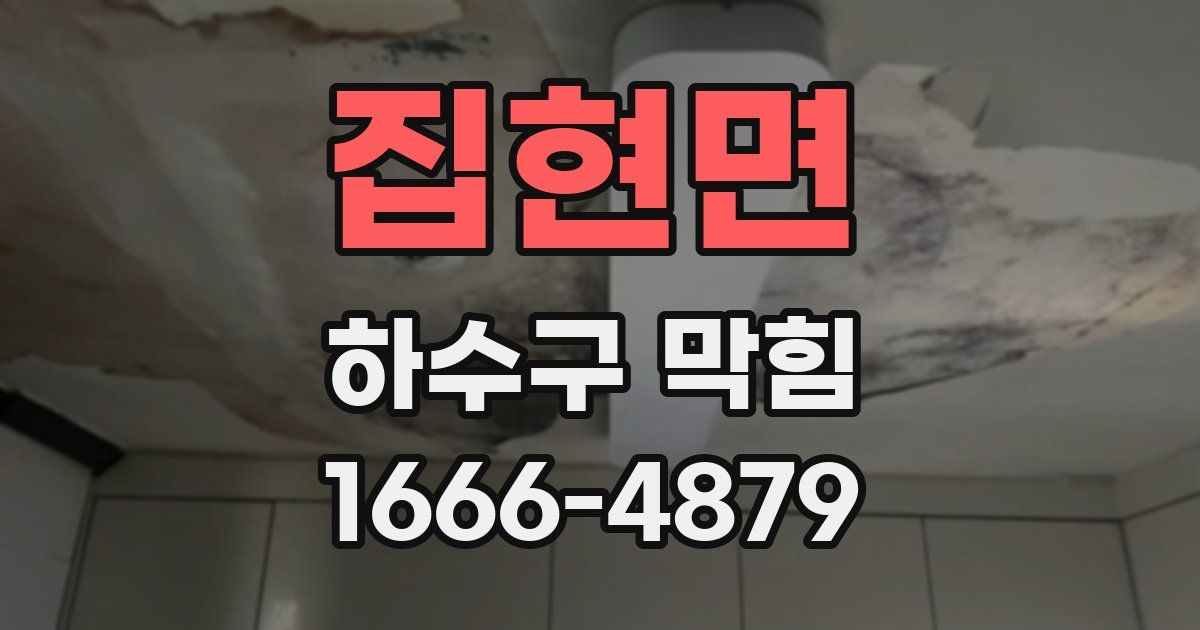 집현면 하수구 막힘