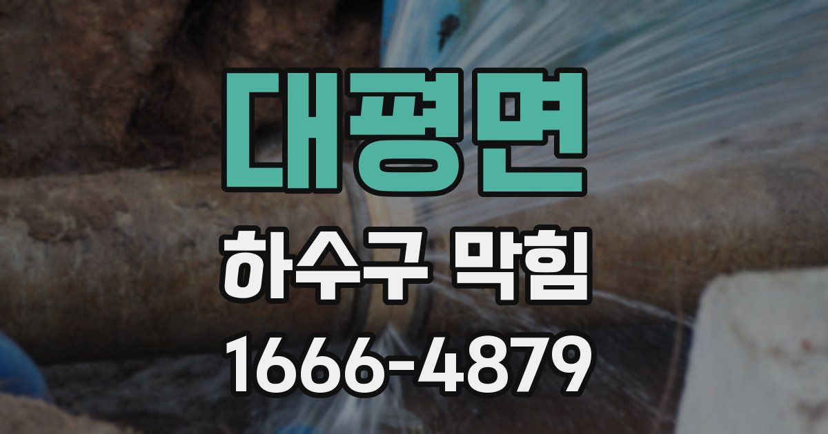 대평면 하수구 막힘