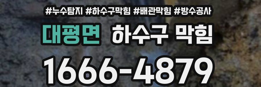 대평면 하수구 막힘