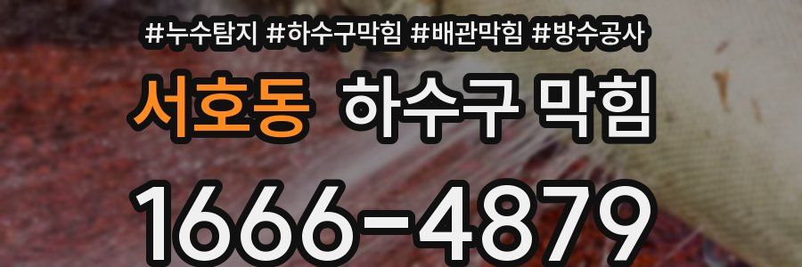 서호동 하수구 막힘