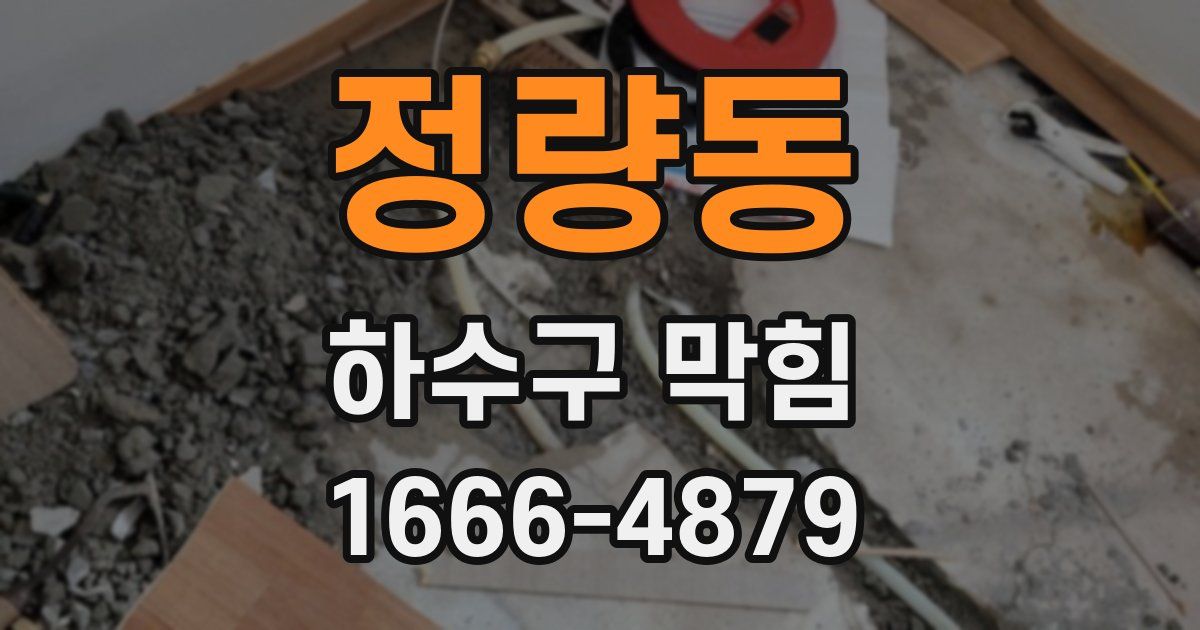 정량동 하수구 막힘