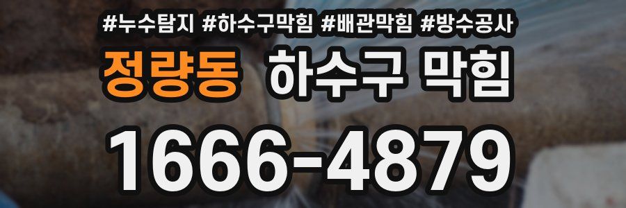 정량동 하수구 막힘