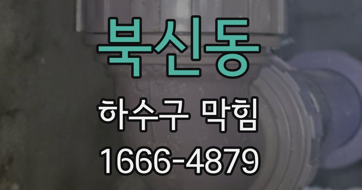 북신동 하수구 막힘