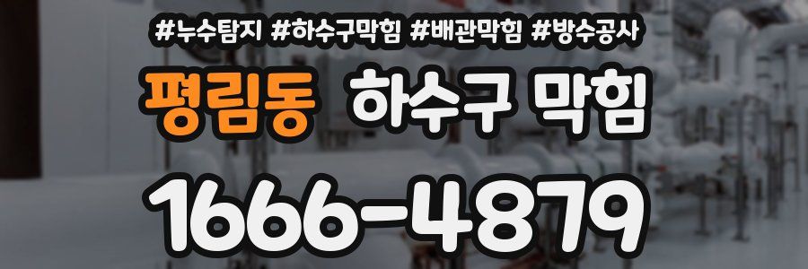 평림동 하수구 막힘