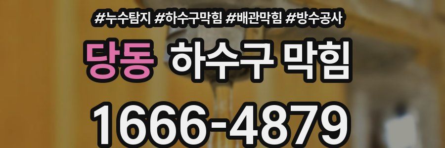 당동 하수구 막힘
