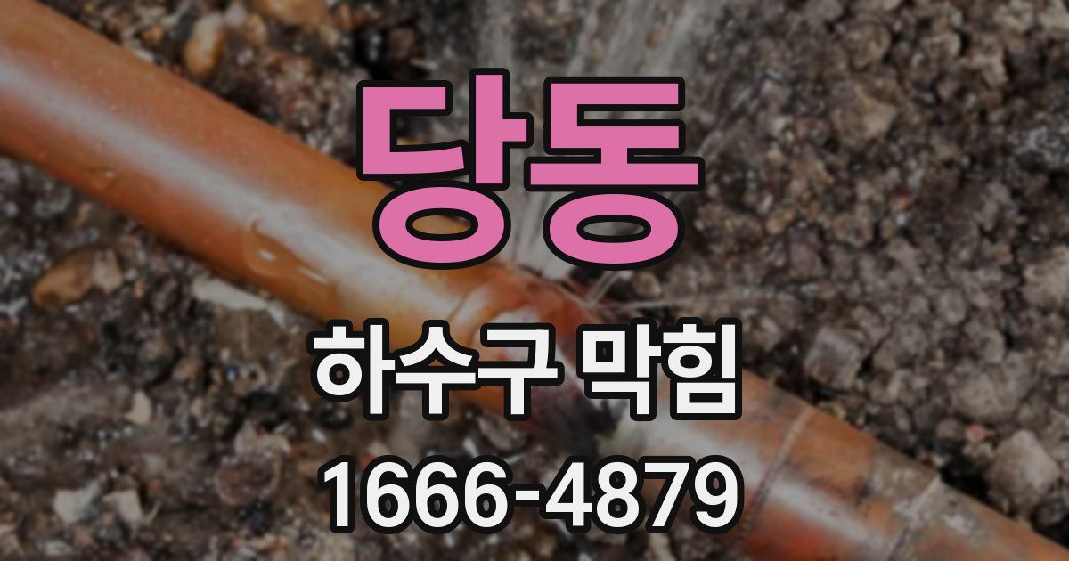 당동 하수구 막힘