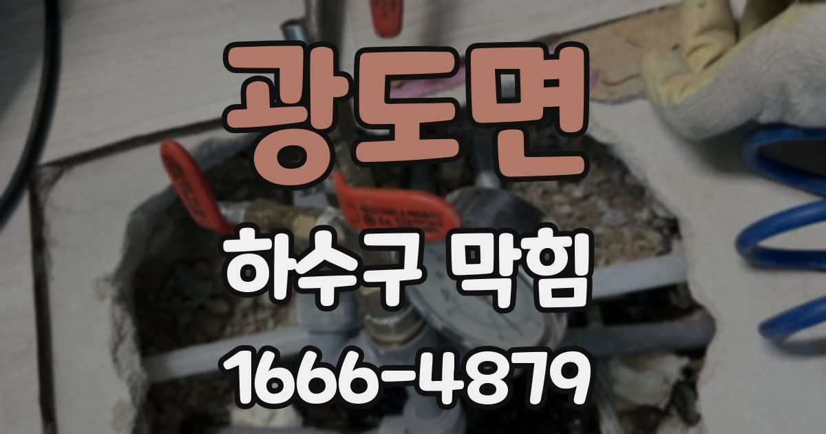 광도면 하수구 막힘