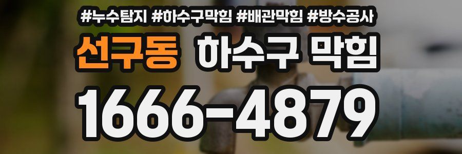 선구동 하수구 막힘