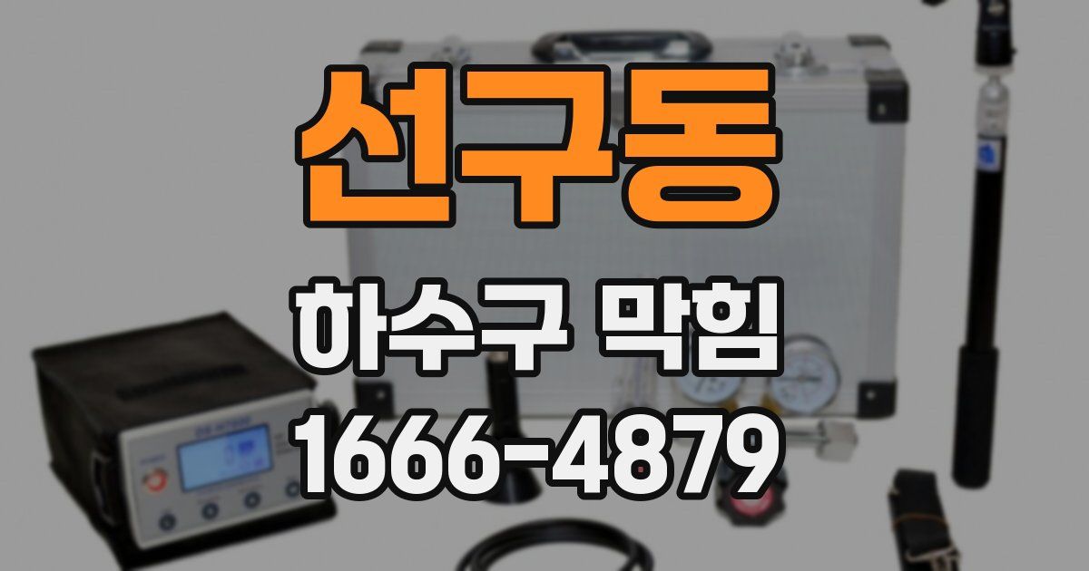 선구동 하수구 막힘