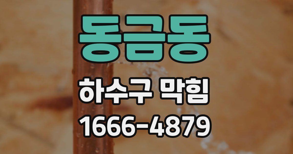 동금동 하수구 막힘